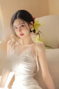 善合做核心联动机